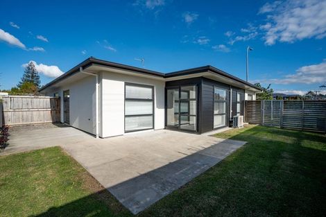 Photo of property in 1/1 Murray Street, Maeroa, Hamilton, 3200