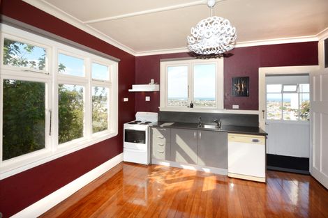 Photo of property in 33 Forfar Street, Clyde Hill, Dunedin, 9011