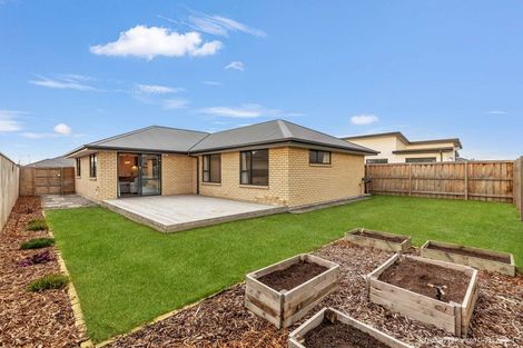 Photo of property in 14 Nathaniel Archer Street, Woodend, 7610