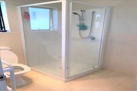 Photo of property in 104 Pitt Avenue, Clendon Park, Auckland, 2103