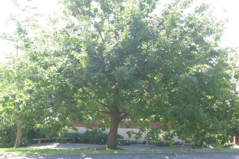 Photo of property in 35 Bournemouth Terrace, Murrays Bay, Auckland, 0630