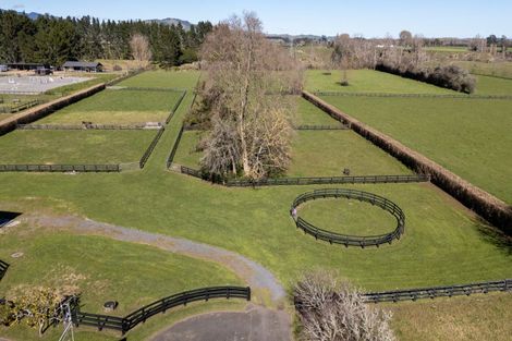 Photo of property in 146 French Pass Road, Cambridge, 3496