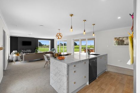 Photo of property in 192 Cole Road, Rongotea, Palmerston North, 4476