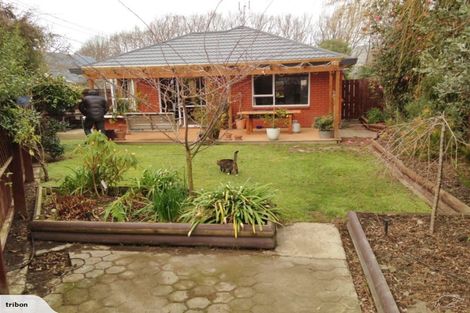 Photo of property in 2/43 Studholme Street, Somerfield, Christchurch, 8024