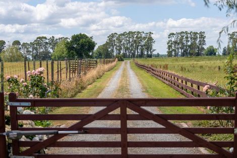 Photo of property in 202 West Road, Ohaupo, 3881