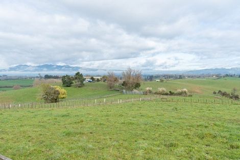 Photo of property in 802 Tuhikaramea Road, Ngahinapouri, Hamilton, 3290