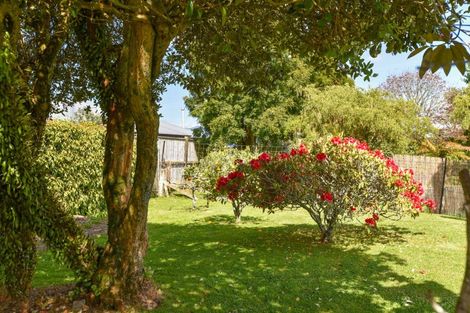 Photo of property in 38 Hood Street, Ngongotaha, Rotorua, 3010