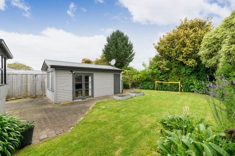 Photo of property in 14 Snowdon Avenue, Terrace End, Palmerston North, 4410