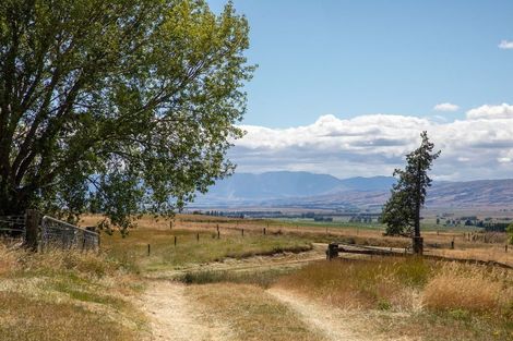 Photo of property in 135 Mcintosh Road, Moa Creek, Oturehua, 9387