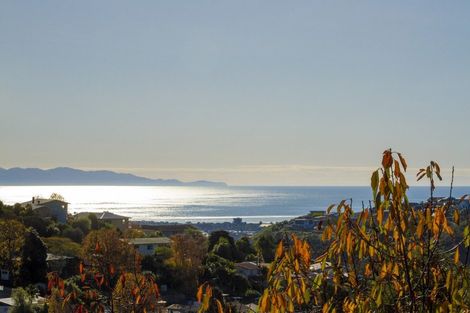 Photo of property in 60 Newman Drive, Enner Glynn, Nelson, 7011