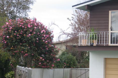 Photo of property in 9 Elmes Place, Matua, Tauranga, 3110