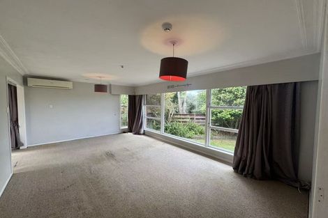 Photo of property in 13 Freemont Street, Chartwell, Hamilton, 3210