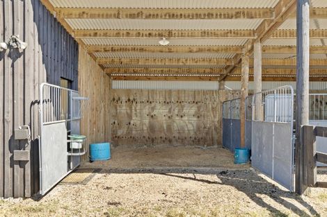 Photo of property in 45 Maskells Road, Balcairn, Amberley, 7481