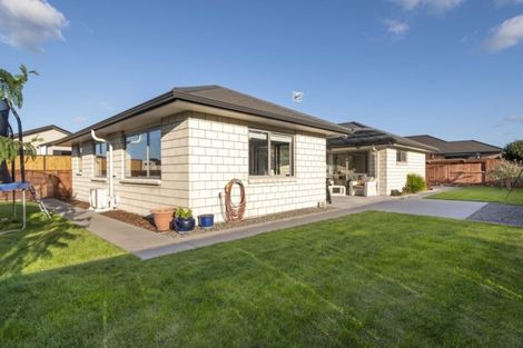 Photo of property in 8c Cannell Farm Drive, Te Puke, 3119