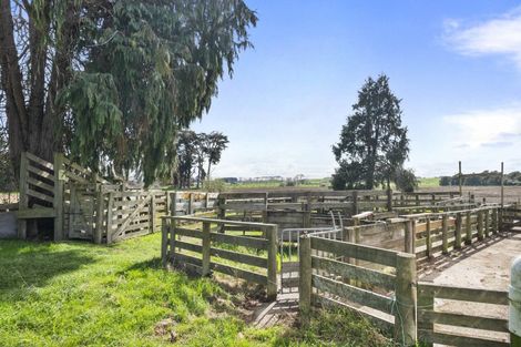 Photo of property in 352 Jeffersons Line, Marton, 4788