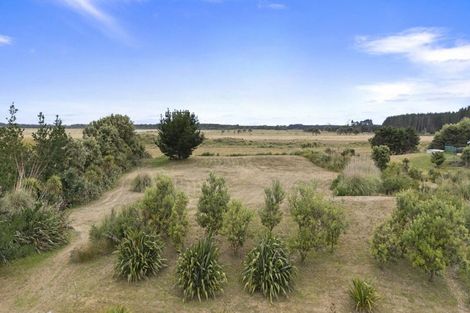 Photo of property in 102 Bergin Road, Foxton, 4814