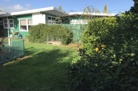 Photo of property in 16 Saxton Street, Levin, 5510