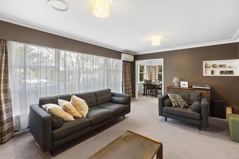 Photo of property in 14 Clark Place, Hillcrest, Hamilton, 3216