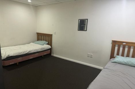 Photo of property in Accommodation Central, 2l/219 Willis Street, Te Aro, Wellington, 6011