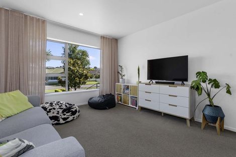 Photo of property in 14 Ngahere Street, Otumoetai, Tauranga, 3110