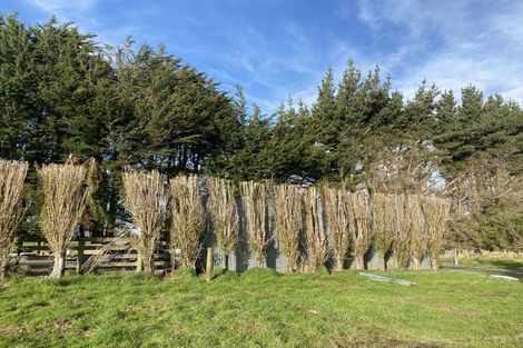 Photo of property in 388 Mill Road North, Myross Bush, Invercargill, 9876