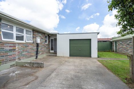 Photo of property in 587 Queen Street East, Levin, 5510