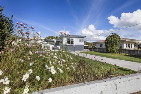 Photo of property in 6 Stanley Street, Matamata, 3400