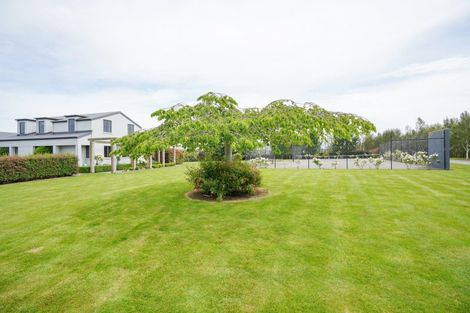 Photo of property in 458 Forest Hill Crossing Road, Tussock Creek, Winton, 9781