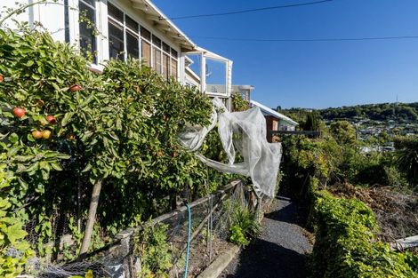 Photo of property in 6 Ryehill Street, Calton Hill, Dunedin, 9012