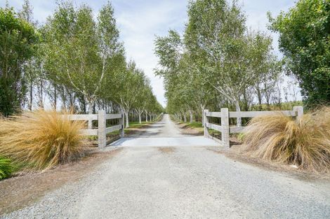 Photo of property in 458 Forest Hill Crossing Road, Tussock Creek, Winton, 9781