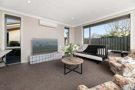 Photo of property in 50c Sixteenth Avenue, Tauranga South, Tauranga, 3112