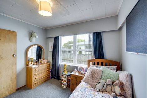 Photo of property in 60 Alexander Avenue, Onekawa, Napier, 4110