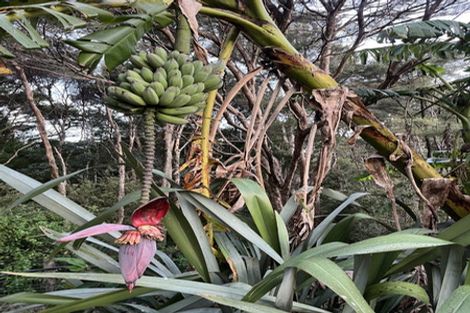 Photo of property in 1213a State Highway 10, Kerikeri, 0293