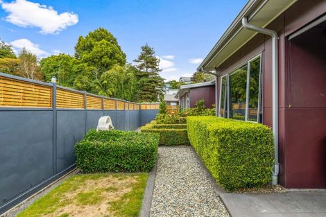 Photo of property in 58d Gilbert Street, New Plymouth, 4310