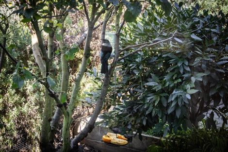 Photo of property in 37 Simla Avenue, Havelock North, 4130