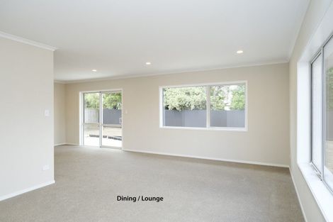 Photo of property in 9a Dublin Street, Dannevirke, 4930