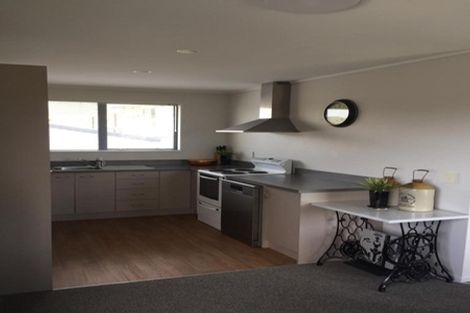 Photo of property in 245a Mitchell Street, Brooklyn, Wellington, 6021