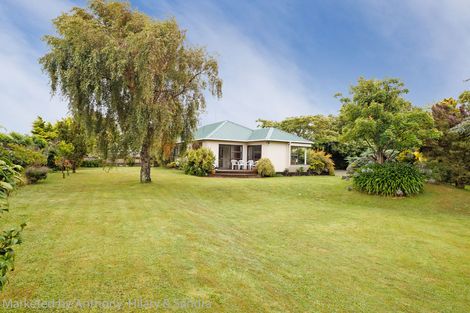 Photo of property in 19 Norwich Place, Awapuni, Palmerston North, 4412