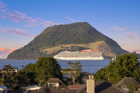 Photo of property in 65a Bureta Road, Otumoetai, Tauranga, 3110