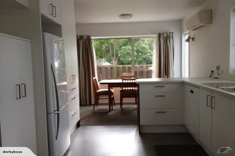 Photo of property in 1/12 Keoghs Lane, St Albans, Christchurch, 8014