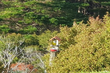 Photo of property in 15 Kowhai Place, Tuateawa, Coromandel, 3583