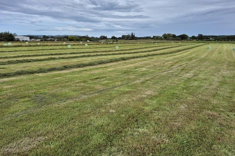 Photo of property in 223 Kaitangata Highway, Stirling, 9231