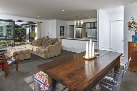 Photo of property in 9 Langdale Drive, Richmond, 7020