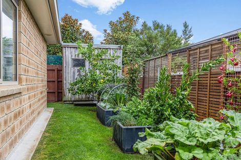 Photo of property in 8c Smith Street, Matamata, 3400