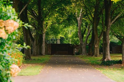 Photo of property in 59a Western Avenue, Omokoroa, 3114