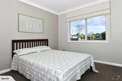 Photo of property in 2 Hansard Place, Bethlehem, Tauranga, 3110