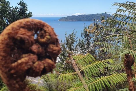 Photo of property in 14 Pacific Drive, Tairua, 3508