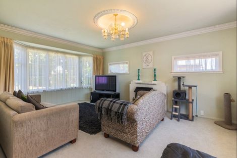 Photo of property in 113 Pahiatua Street, Hokowhitu, Palmerston North, 4410