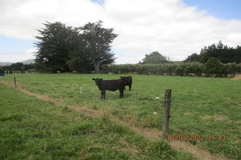 Photo of property in 809 Matamau Ormondville Road, Ormondville, Dannevirke, 4977