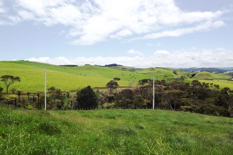 Photo of property in 23 Centrebush Lane, Raglan, 3295